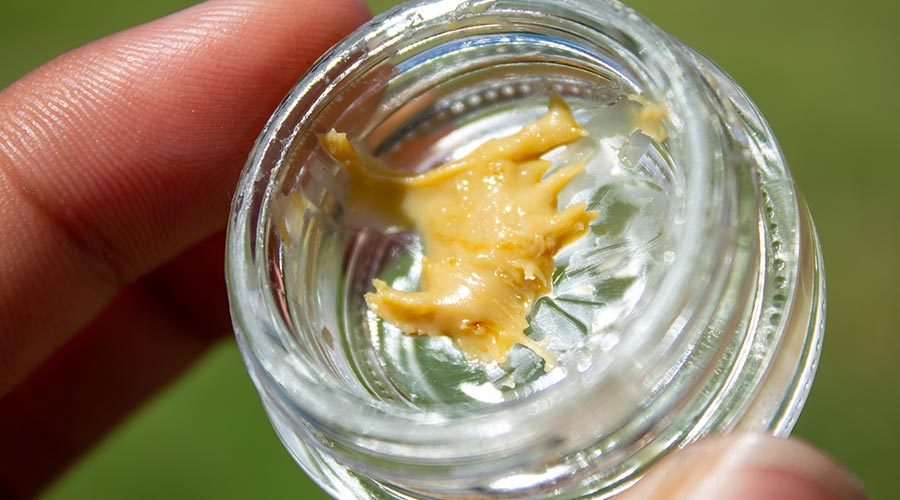 Where to buy Live Rosin online